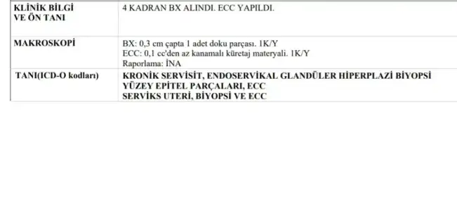 Screenshot_20240521_205022_Drive.webp
