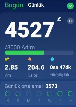Screenshot_20240621-203139_Pedometer Step Counter.webp