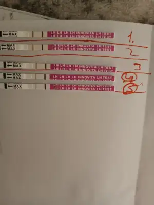 17193123412563557666813636488099.webp