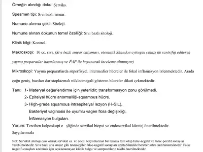 IMG_3305.webp