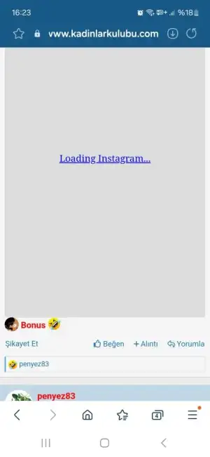 Screenshot_20240627_162346_Samsung Internet.webp