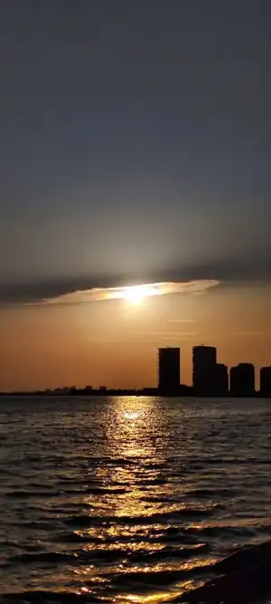 1000082543.webp