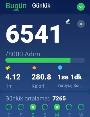 Screenshot_20240703-214832_Pedometer Step Counter.webp