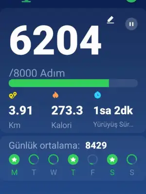 Screenshot_20240707-230334_Pedometer Step Counter.webp