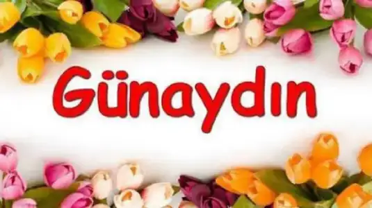 resized_b57cd-0dccda4agunaydin.webp