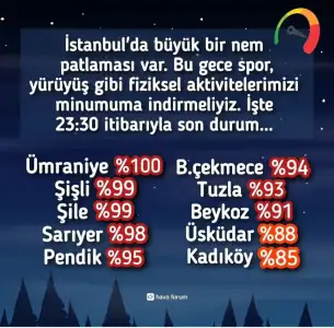 1000046376.webp