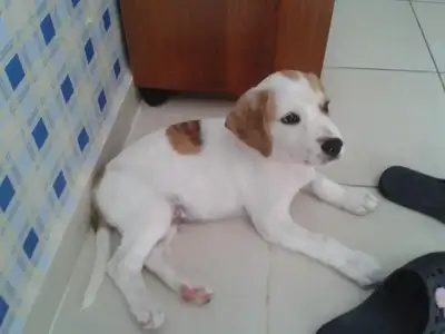 $2012-10-01 12.36.57.webp