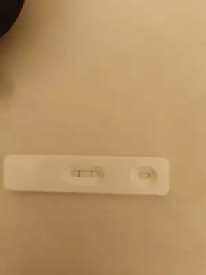 17212258591055965725270239505814.webp