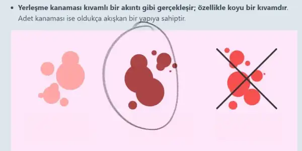 Ekran görüntüsü 2024-07-23 160459.webp