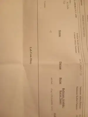 1721855259921270325401412880789.webp