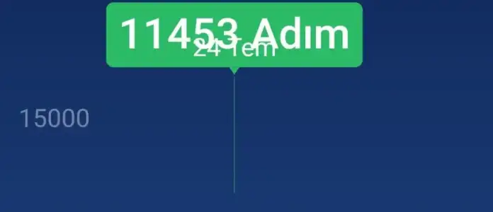 Screenshot_20240725-125200_Pedometer Step Counter.webp