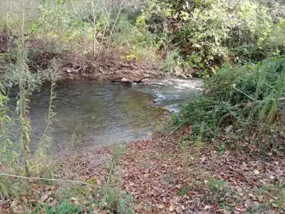 WhatsApp Image 2024-07-26 at 13.43.51 (1).webp