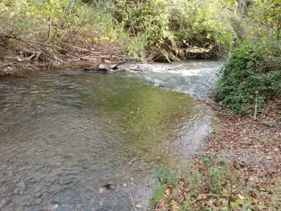 WhatsApp Image 2024-07-26 at 13.43.51.webp