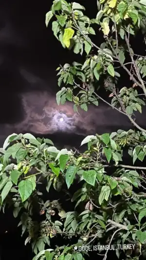 WhatsApp Image 2024-07-26 at 14.50.40.webp