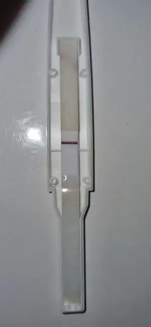 1000050821.webp