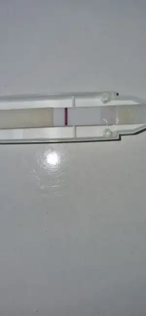 1000050820.webp