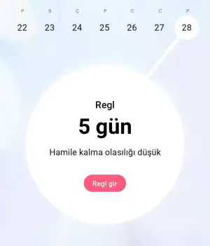 Screenshot_2024-07-29-02-28-06-591_org.iggymedia.periodtracker-edit.webp