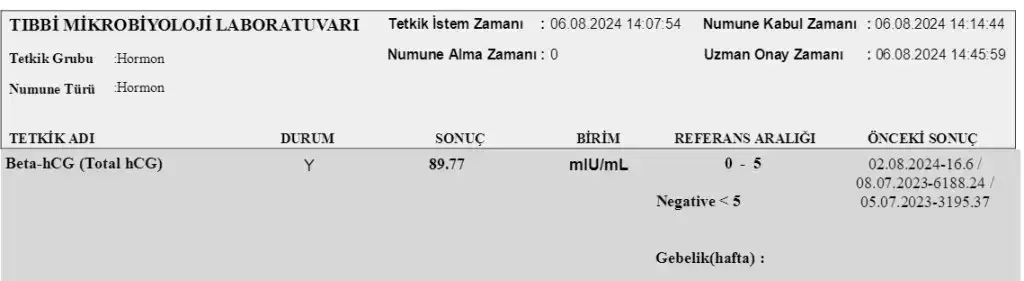 Ekran görüntüsü 2024-08-06 145628.webp