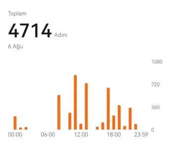 Screenshot_20240806_224737.webp