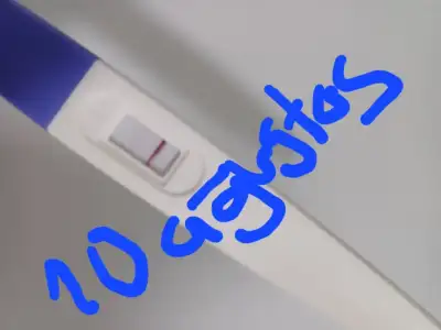 1000094976.webp