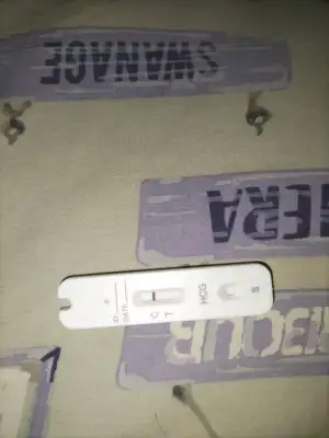 17234329996193398040773313534143.webp