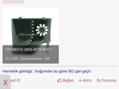 1000061841.webp