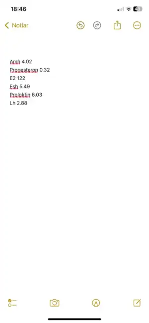 IMG_8078.webp