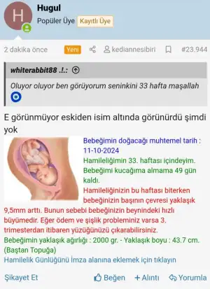 1000020027.webp