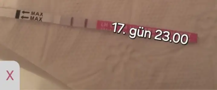 Screenshot_20240825_143337_Samsung Internet.webp