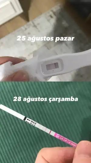 C0A27A72-EEFC-47B6-8B92-7A574DAFCF7B.webp