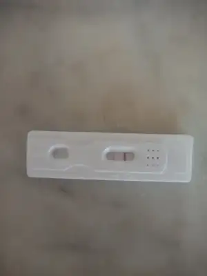 IMG_20240829_112927.webp