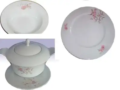 $falcon g&#252;nl&#252;k.webp