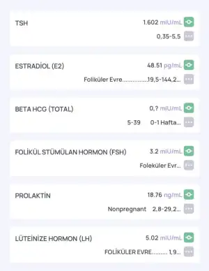 3CAF4DEA-7EDE-4D1D-B5AF-06EB200BC47F.webp