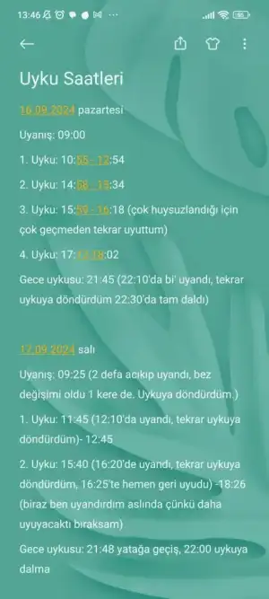 Screenshot_2024-09-23-13-46-48-260_com.miui.notes.webp
