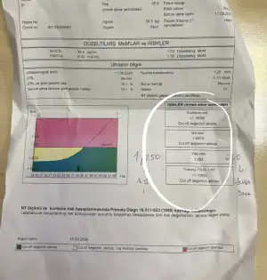 IMG_0781.webp IMG_0781.webp