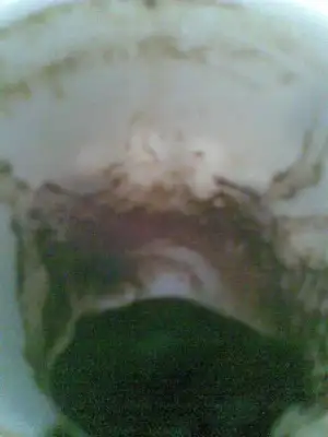 $G&#246;r&#252;nt&#252;059.webp