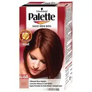 $Palette-6-68-Bronz-Kahve-Sac-Boyasi__33616949_0.webp