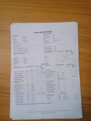 IMG-20241003-WA0001.webp