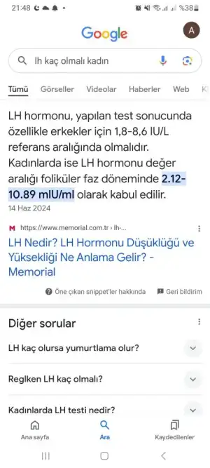 Screenshot_20241011_214837_Google.webp
