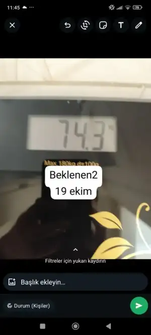 1000000677.webp