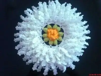 $lif-ornekleri-001.webp