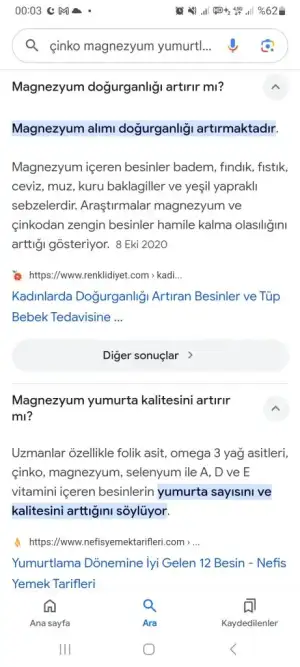 Screenshot_20241026_000336_Google.webp