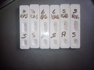 17310484869806179071169983870405.webp