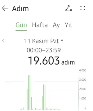 1000063142.webp