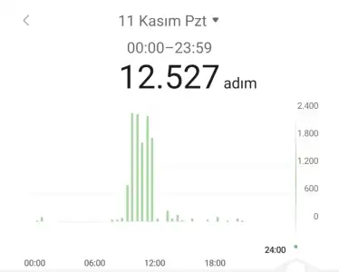 Screenshot_2024-11-11-21-46-53-826-edit_com.huawei.health.webp