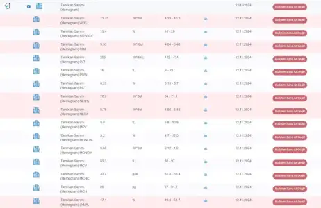 Ekran görüntüsü 2024-11-13 085206.webp