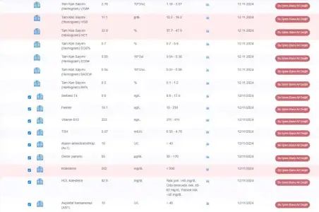 Ekran görüntüsü 2024-11-13 085223.webp