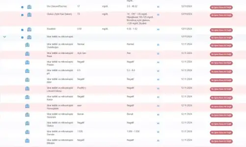 Ekran görüntüsü 2024-11-13 085402.webp