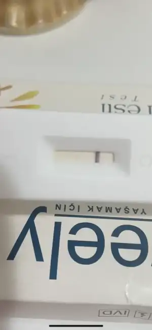 916F74CE-BC74-4FDA-A5F0-165019CE32E8.webp