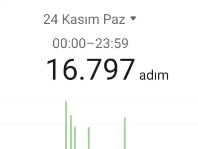Screenshot_2024-11-24-19-21-44-295-edit_com.huawei.health.webp
